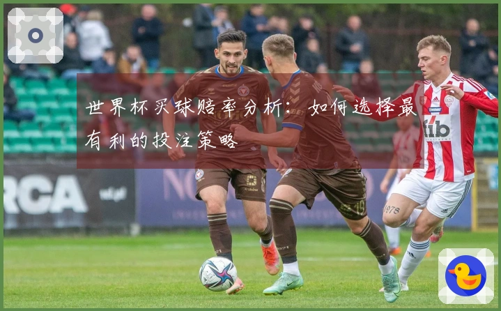 世界杯买球赔率分析：如何选择最有利的投注策略
