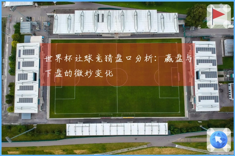世界杯让球竞猜盘口分析：赢盘与下盘的微妙变化