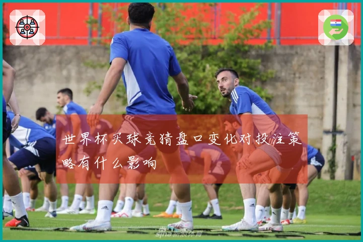 世界杯买球竞猜盘口变化对投注策略有什么影响
